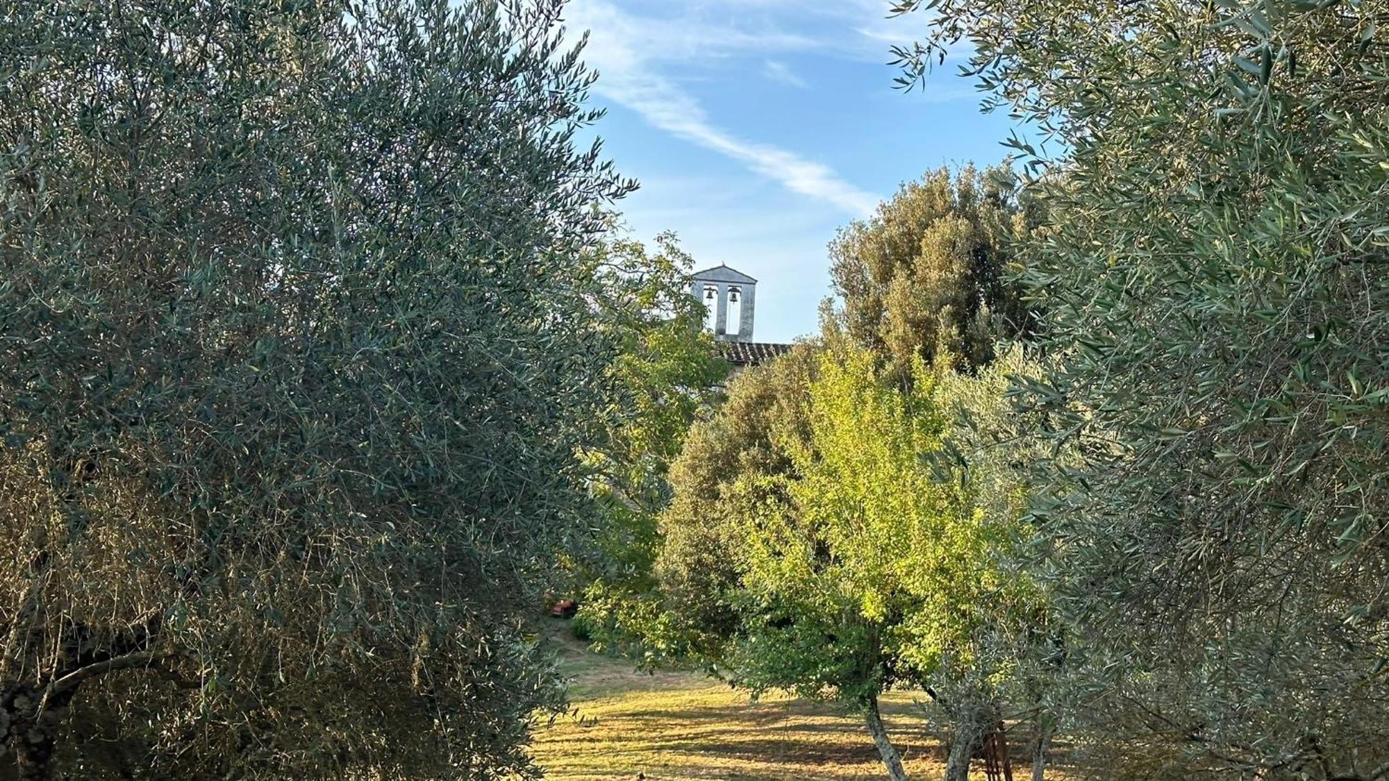 Borgo San Michele Incisa Tuscany Incisa in Val d'Arno Ngoại thất bức ảnh