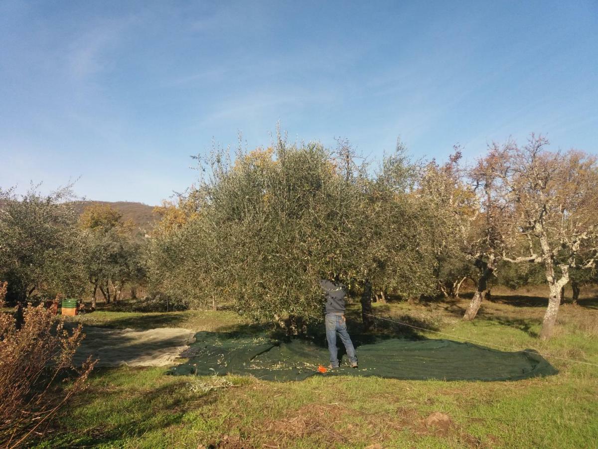 Borgo San Michele Incisa Tuscany Incisa in Val d'Arno Ngoại thất bức ảnh